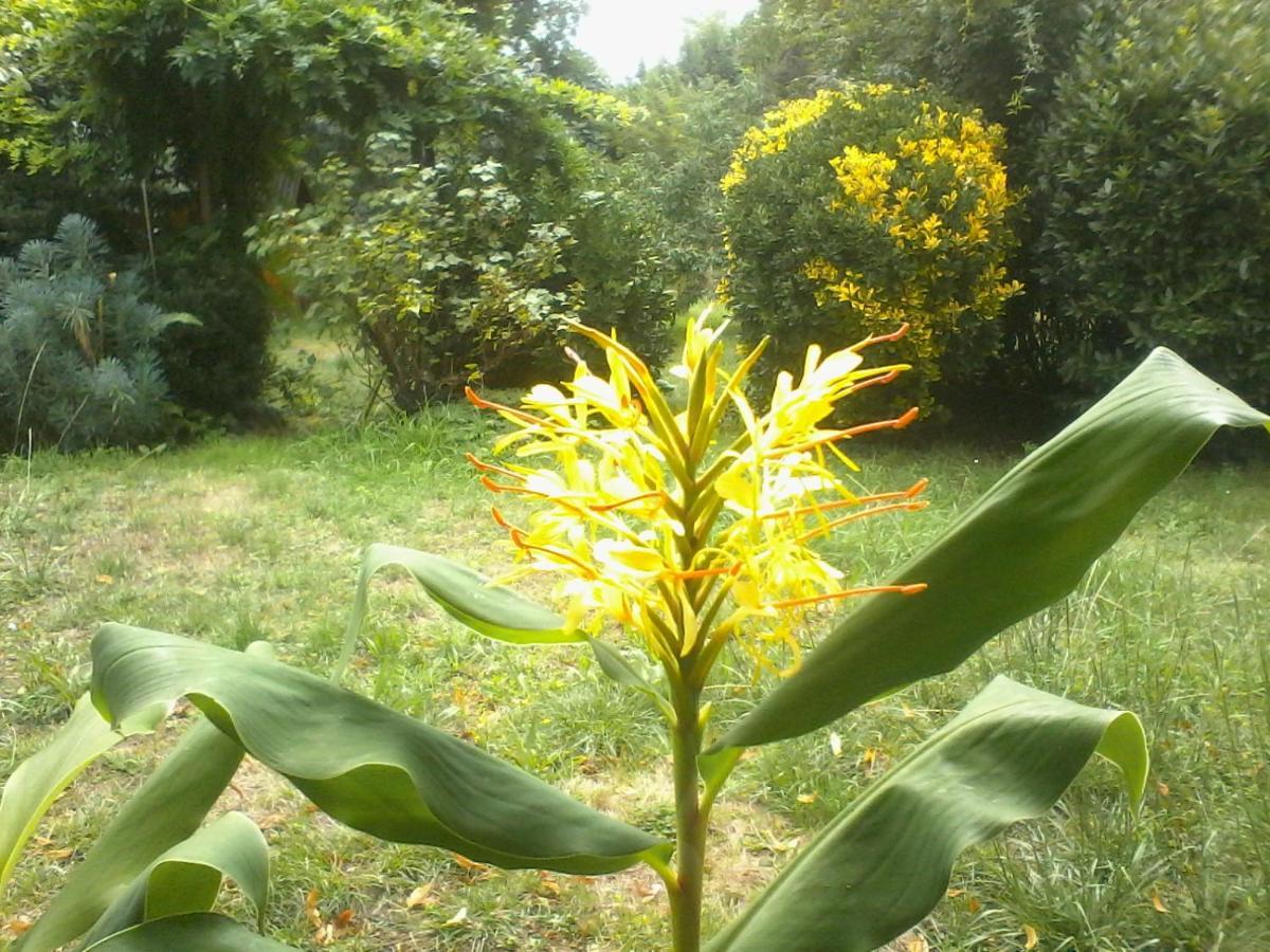 Homestay Mirguet Au Jardin Saint-Elix-le-Chateau
