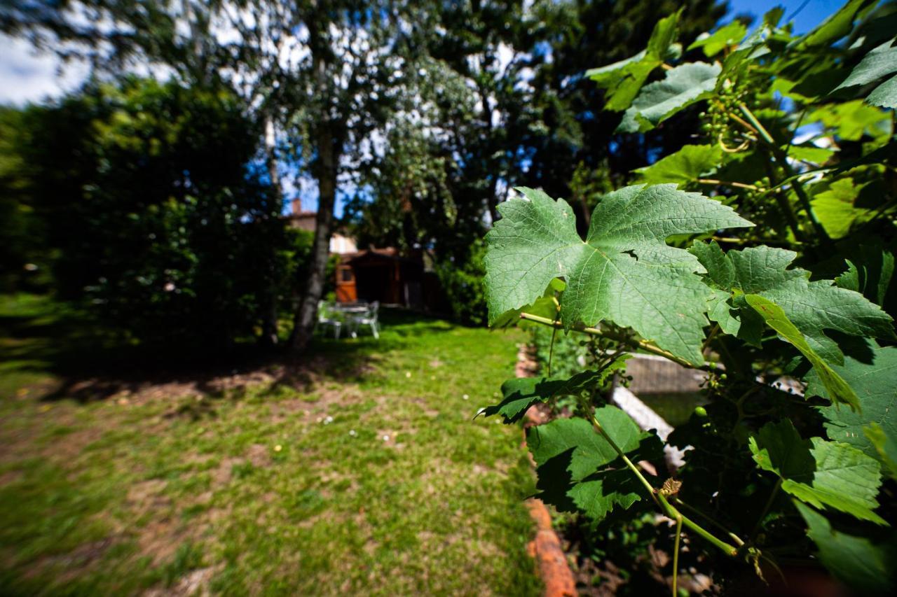 Homestay Mirguet Au Jardin *