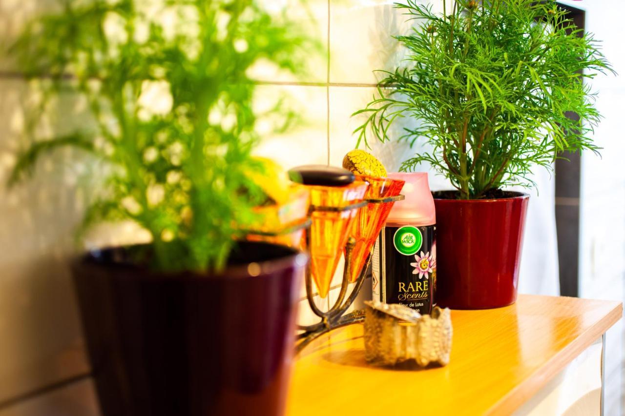 Mirguet Au Jardin Homestay Saint-Elix-le-Chateau