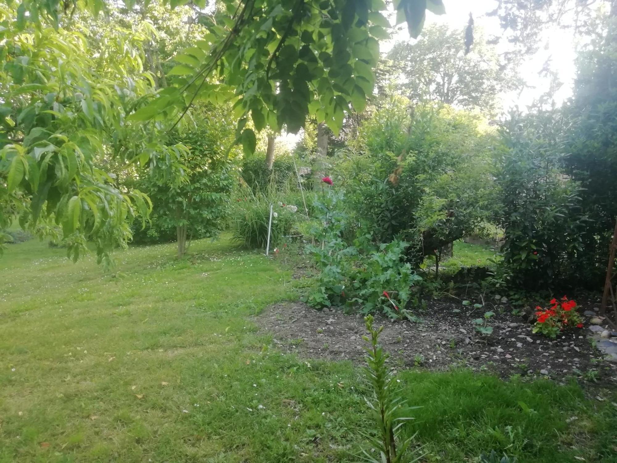 Mirguet Au Jardin Homestay